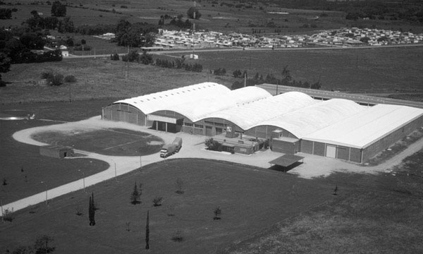 Walmart Mussel - 1987 Modernization